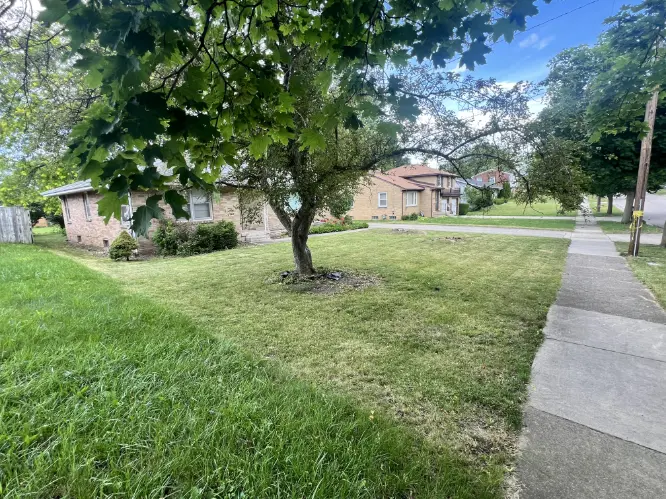 Lawn Care Project 1
